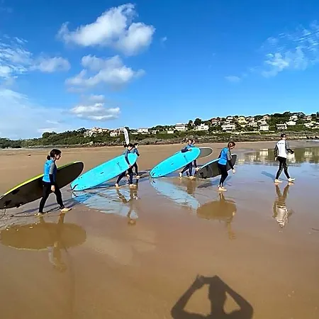 Alima Surf & *